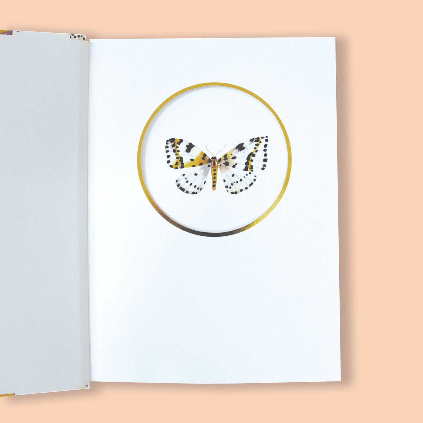 "Fly to the Light" Journal