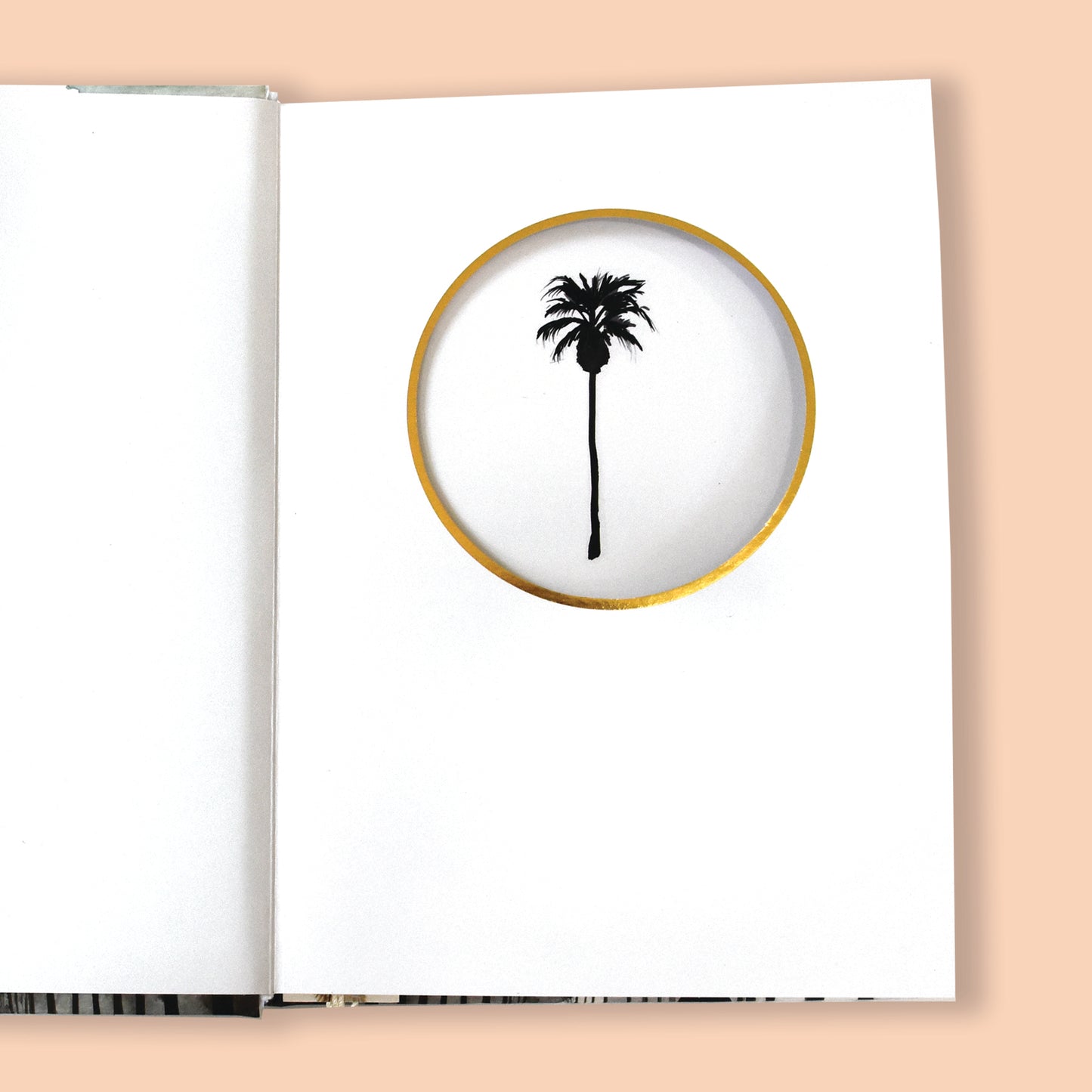 "California Dreamin" Journal