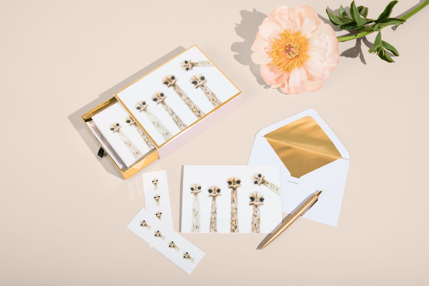 "Ostrich Family Reunion" Notecard Set