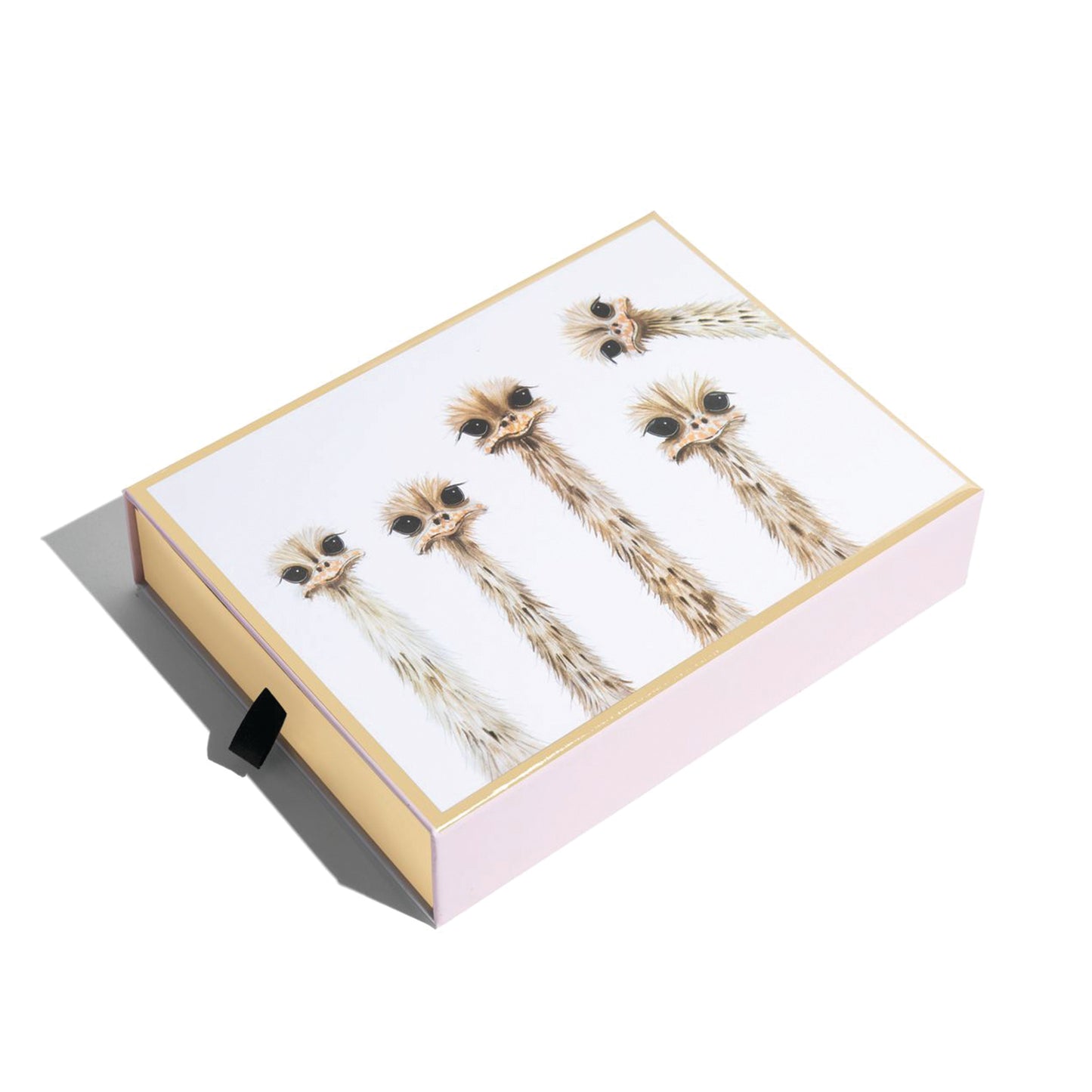 "Ostrich Family Reunion" Notecard Set