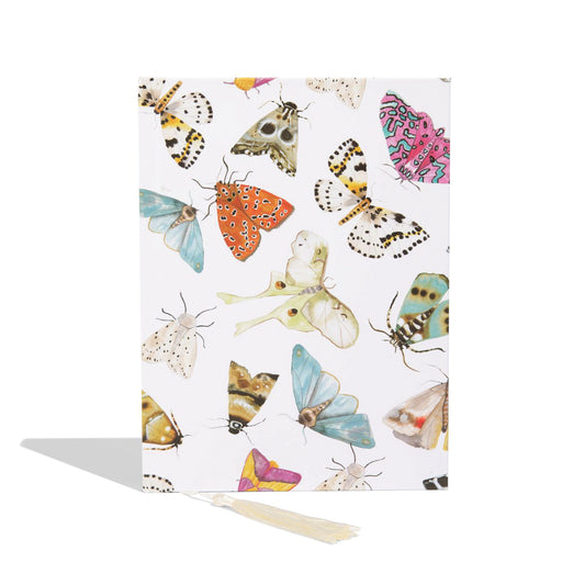 "Fly to the Light" Journal