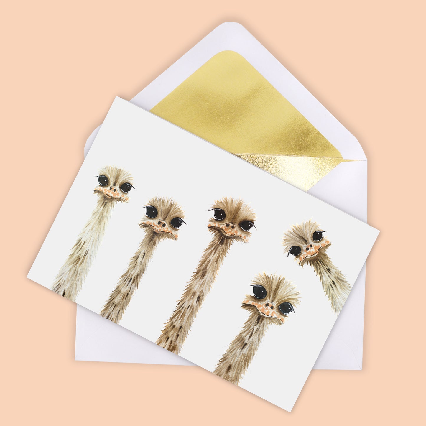 "Ostrich Family Reunion" Notecard Set