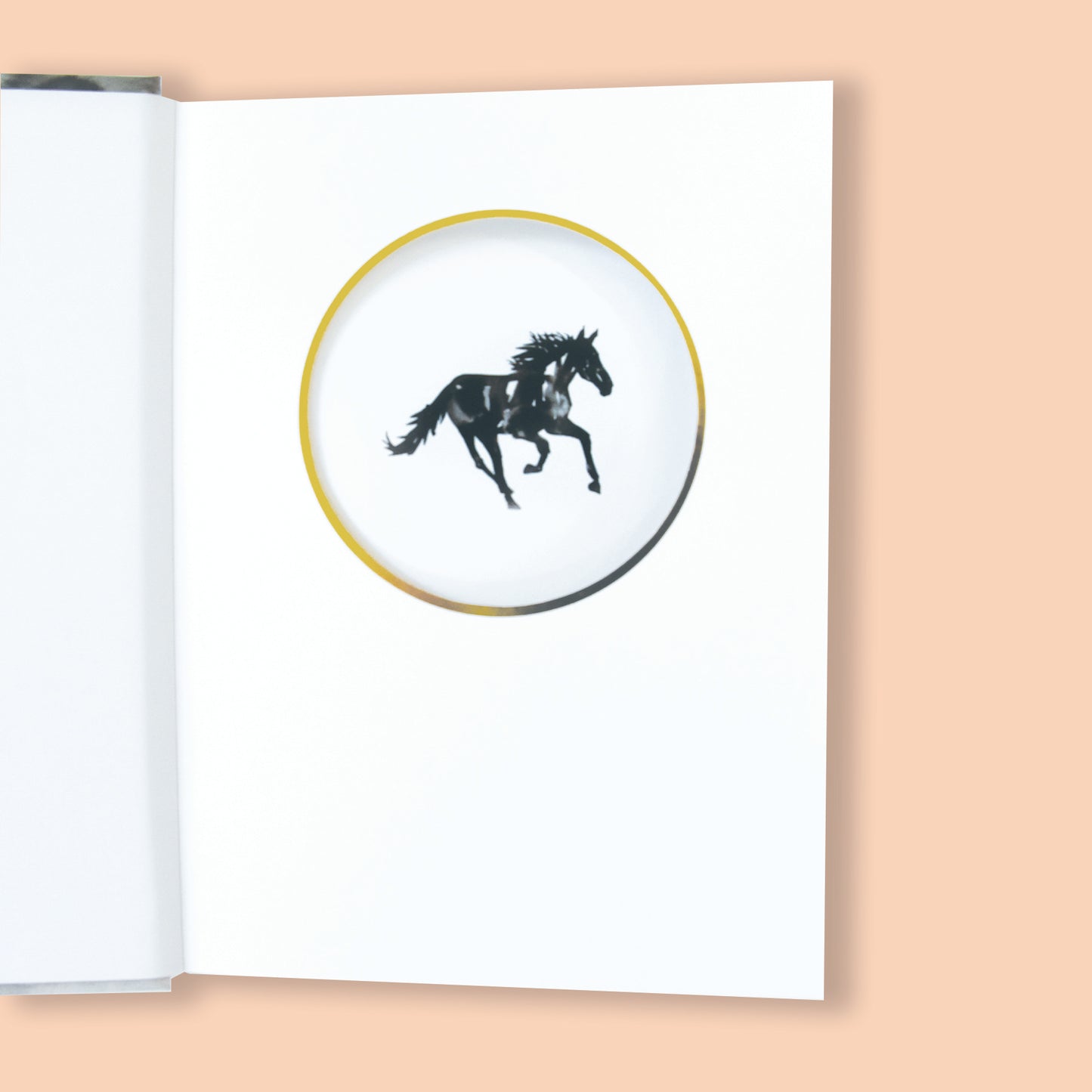 "Reflections" Journal